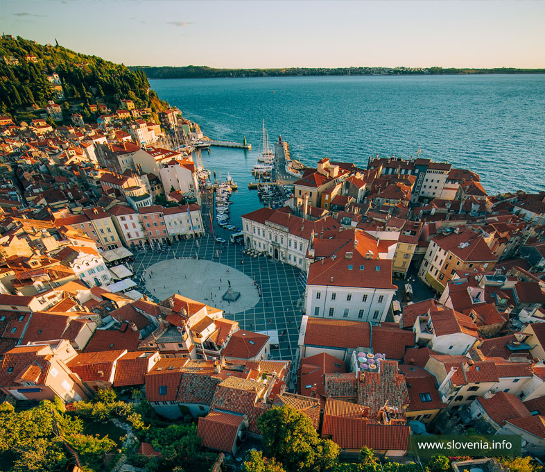 Kaki plac Discover Istria