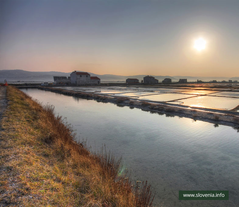 Secovlje Salina Nature Park