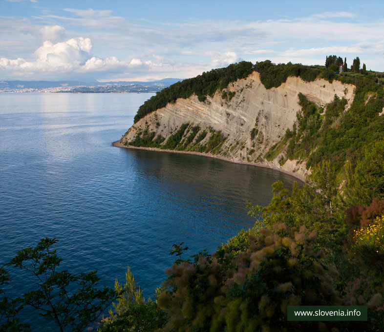 Strunjan Nature Reserve 
