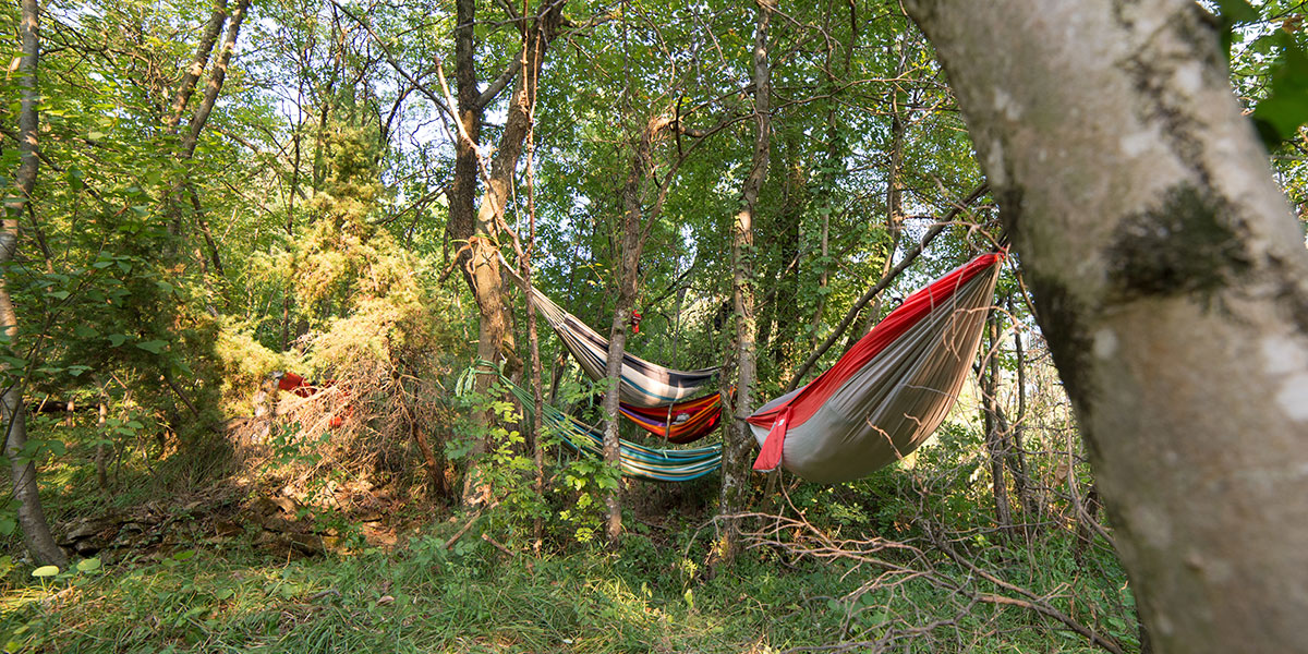 Kaki plac družinski kamp