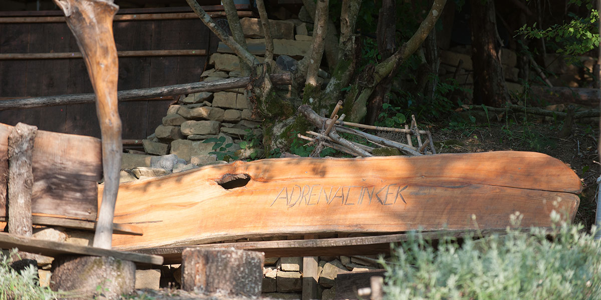 Kaki plac družinski kamp