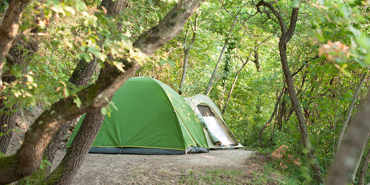 Kaki plac družinski kamp